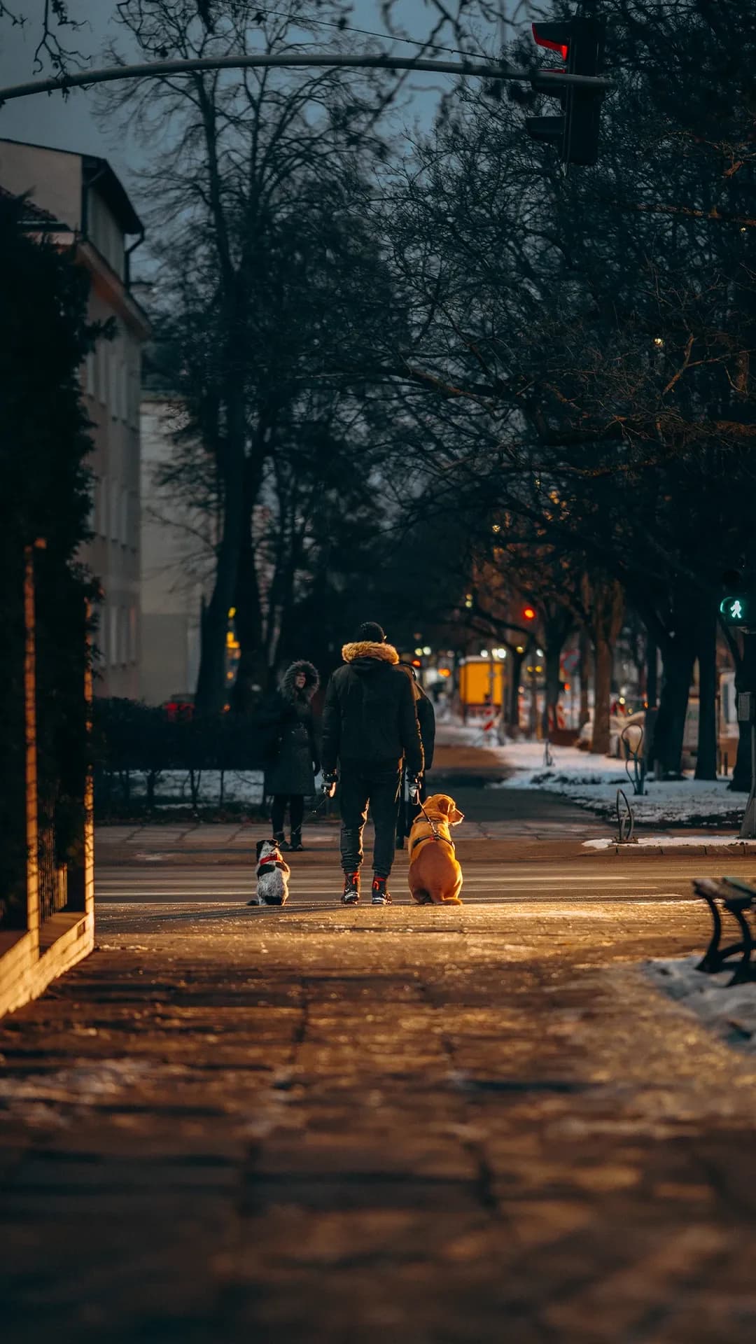 Celebracja codzienności 